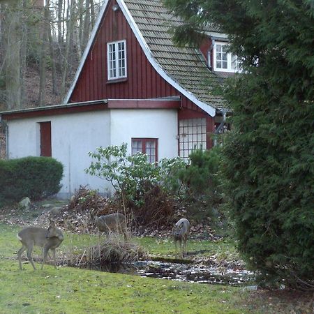 Skovvej Holiday House 1 Βίλα Randers Εξωτερικό φωτογραφία